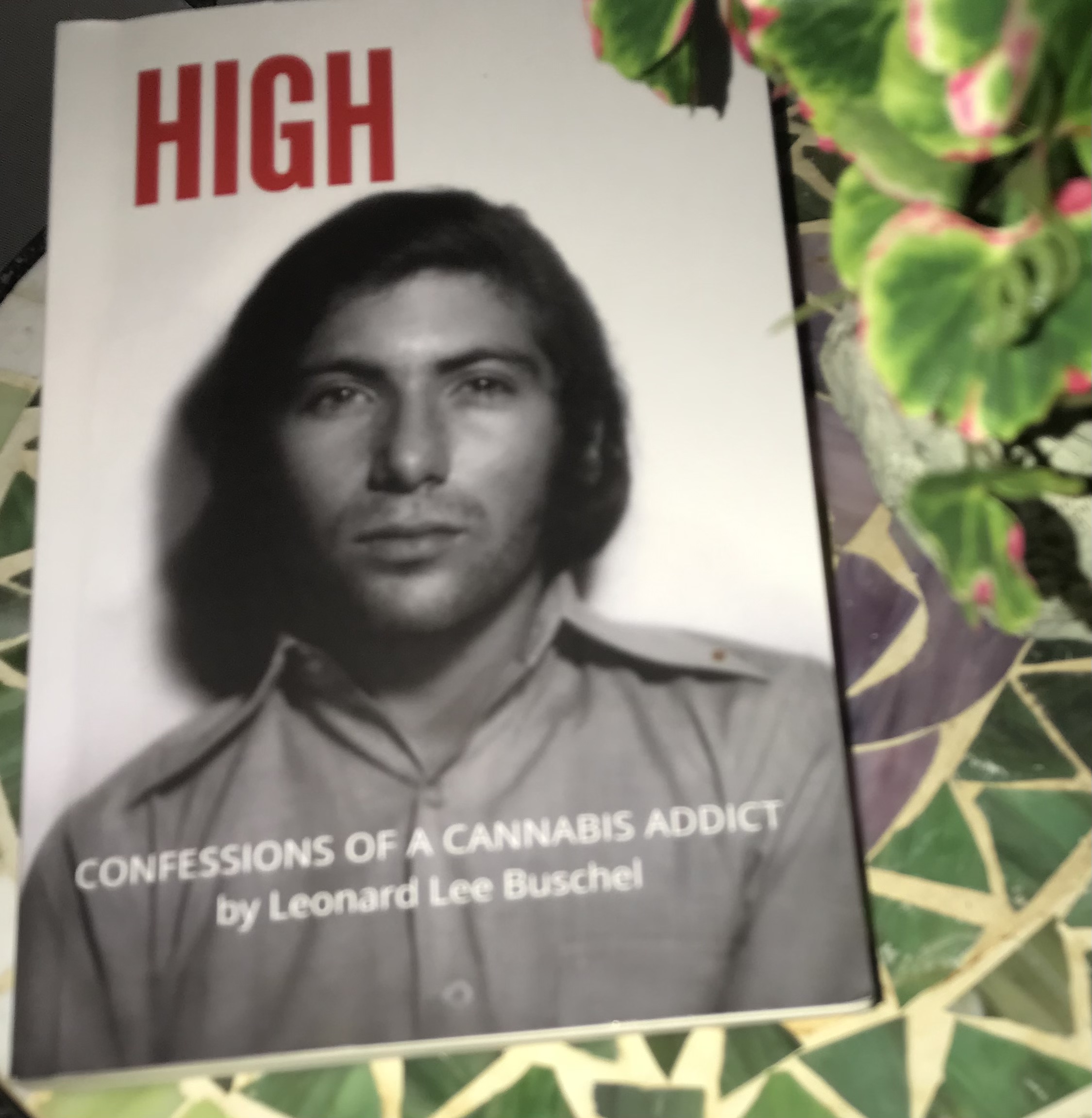 High Confessions of a Cannabis Addict Book Cover